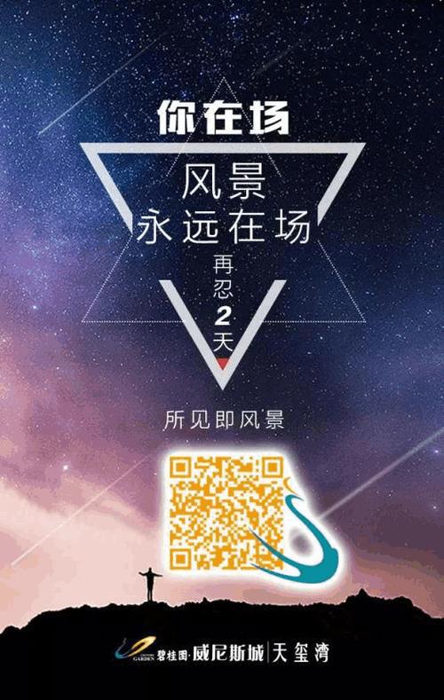 碧桂園房地產(chǎn)營銷策劃 從“五星級的家”到全域營銷的成功之道